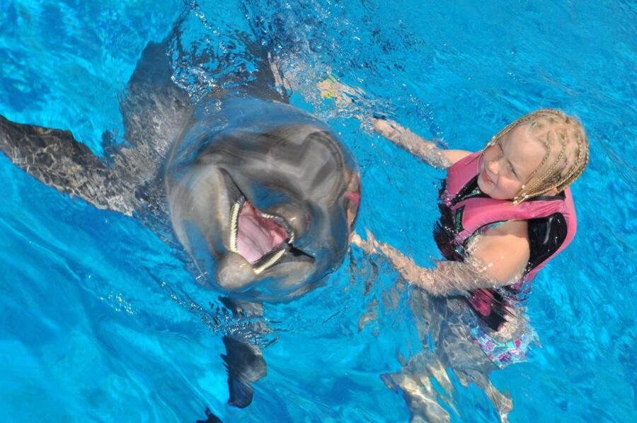 Alanya: Dolphin and Seal Show Ticket with Hotel Transfers - Booking flexibility and important limits