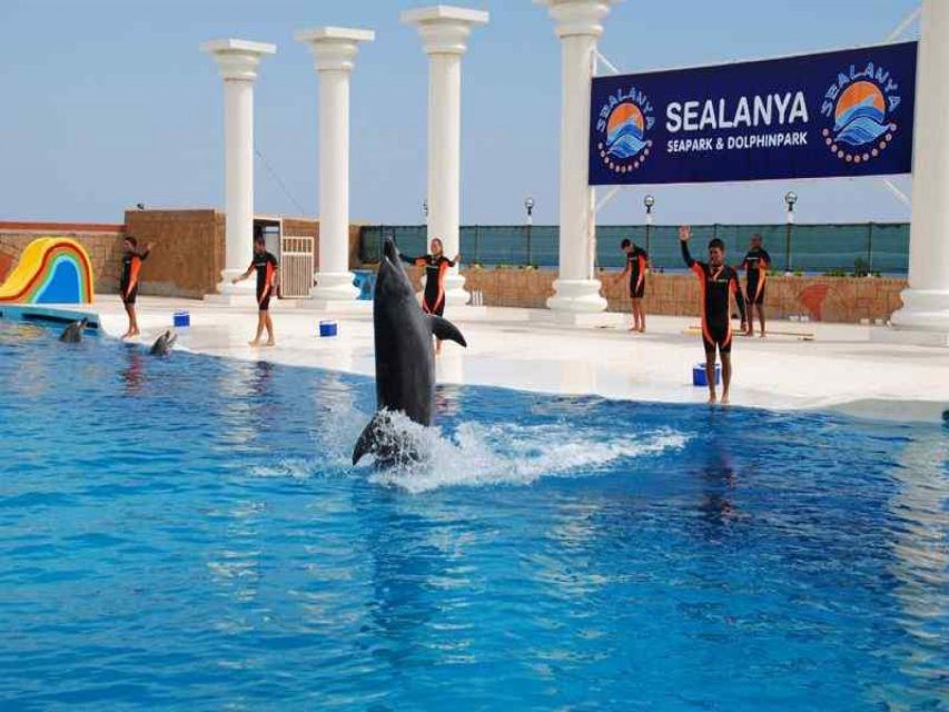 Alanya: Dolphin and Seal Show Ticket with Hotel Transfers - From your Alanya hotel to Sealanya Dolphinpark