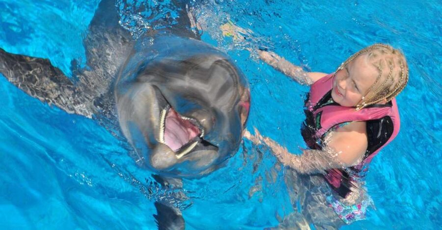 Alanya: Dolphin and Seal Show Ticket with Hotel Transfers - Seal antics and the family-friendly splash zone