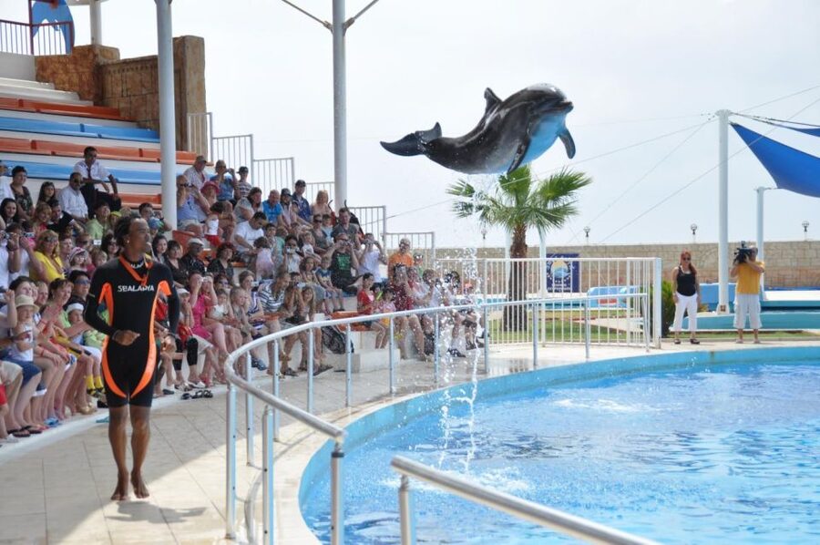 Alanya: Dolphin and Seal Show Ticket with Hotel Transfers - What the conservation message adds
