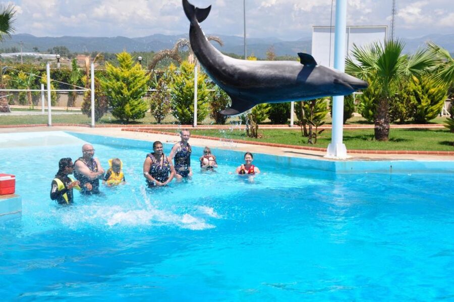Alanya: Dolphin and Seal Show Ticket with Hotel Transfers - Is $40 fair for an hour of entertainment?