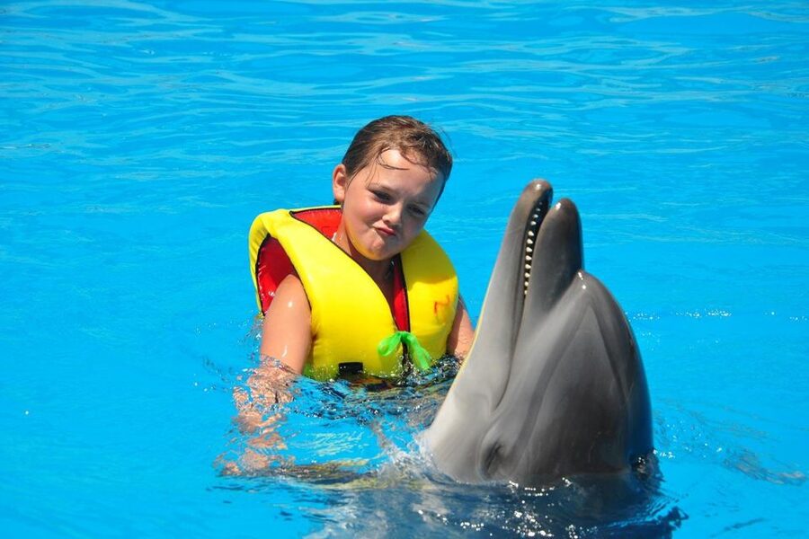 Alanya: Dolphin and Seal Show Ticket with Hotel Transfers - Hotel transfers and the return journey