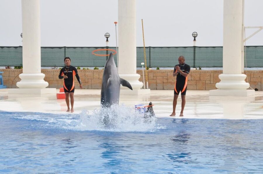 Alanya: Dolphin and Seal Show Ticket with Hotel Transfers - Who will enjoy this experience most?