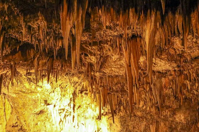 Alanya Highlights: Sapadere Waterfalls, Dim Cave & Dim River - The open-top ride from Alanya