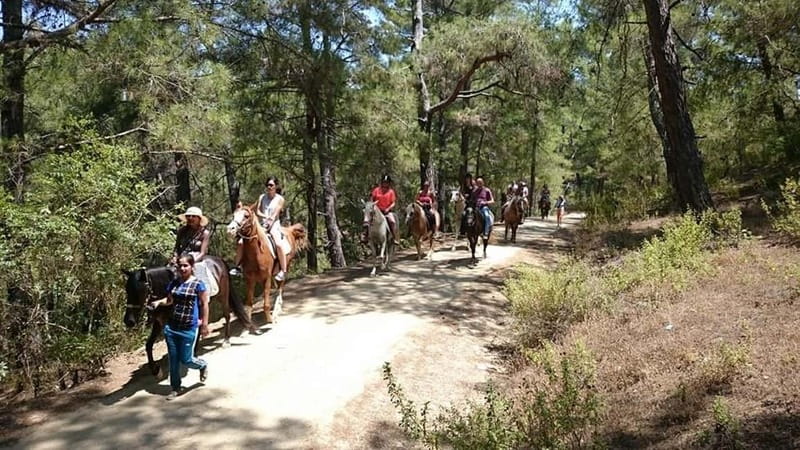 Alanya: Horse Riding Adventure - Leaving Alanya for the Alanya Horse Club