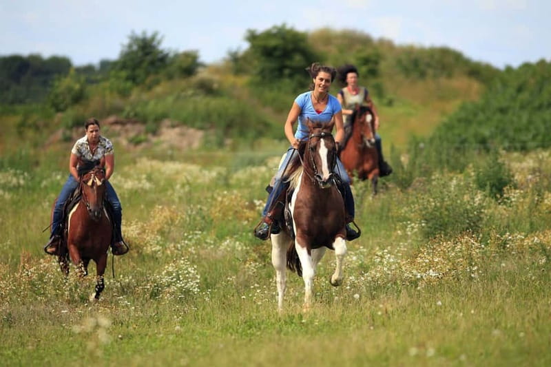 Alanya: Horse Riding Adventure - Why the horses are a major part of the experience
