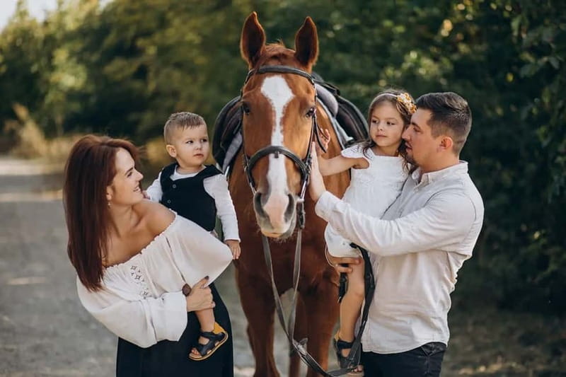 Alanya: Horse Riding Tour with Hotel Transfers - Key points to know before you book