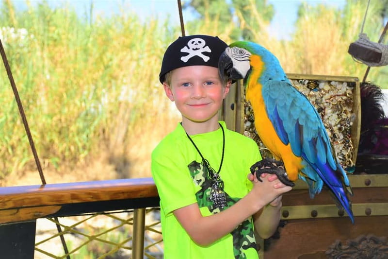 Alanya: Pirate Boat Trip with Meal, Drinks and Pickup Option - Music, cliff-jumping shows, and the foam party