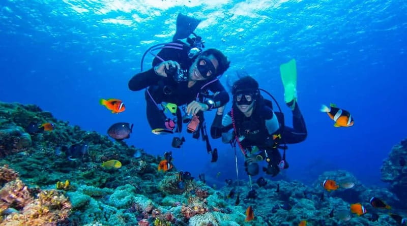 Alanya: Scuba Diving Adventure for Beginners & Professionals - Key points to know before you book