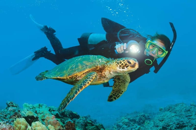 Alanya: Scuba Diving Adventure for Beginners & Professionals - What the $51 price really covers