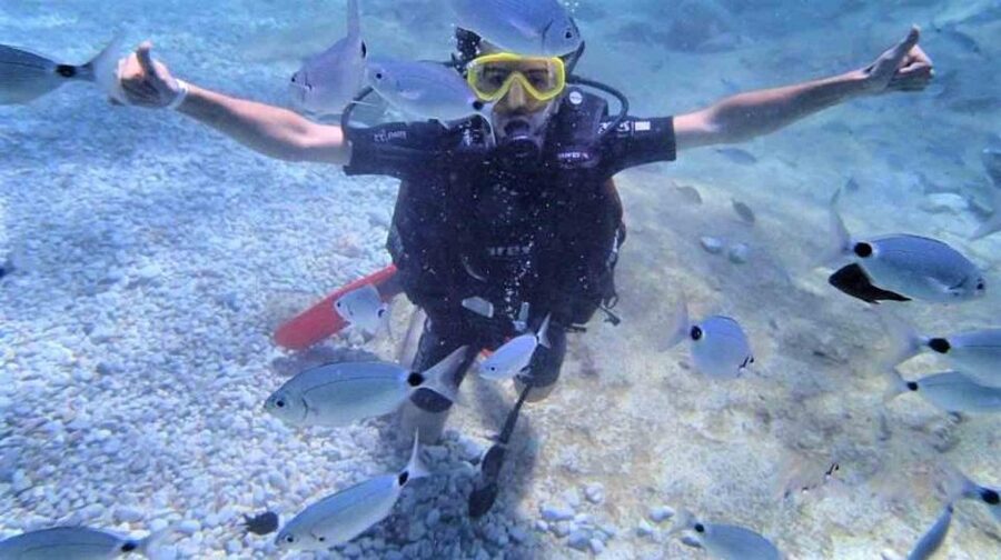 Alanya: Scuba Diving Adventure for Beginners & Professionals - What you might see below Alanya’s surface