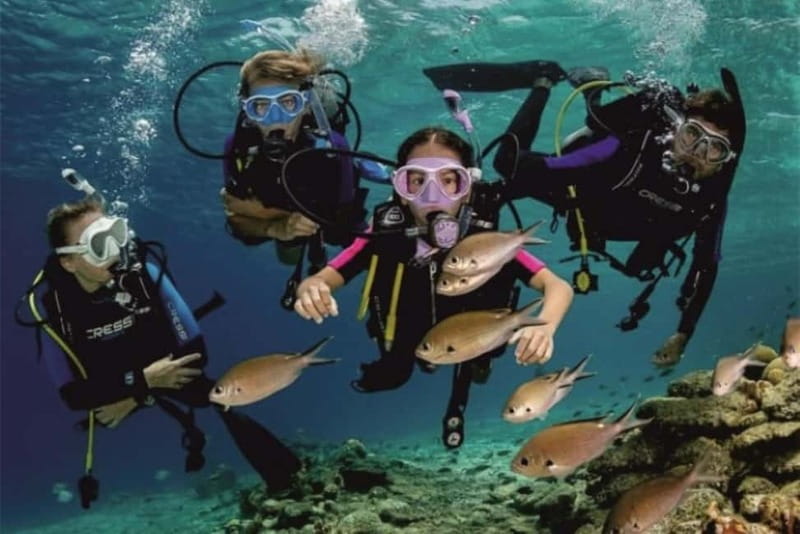 Alanya: Scuba Diving Adventure for Beginners & Professionals - Lunch, snorkeling, and the useful pause between sessions