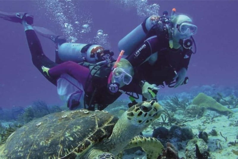 Alanya: Scuba Diving Adventure for Beginners & Professionals - How the group setup affects your day