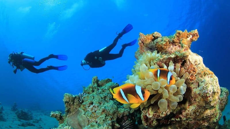 Alanya: Scuba Diving Adventure for Beginners & Professionals - Who will get the most from this experience