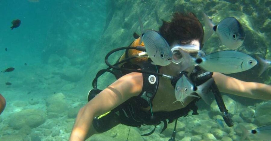Alanya: Scuba Diving Experience with Lunch - Key points to know before booking
