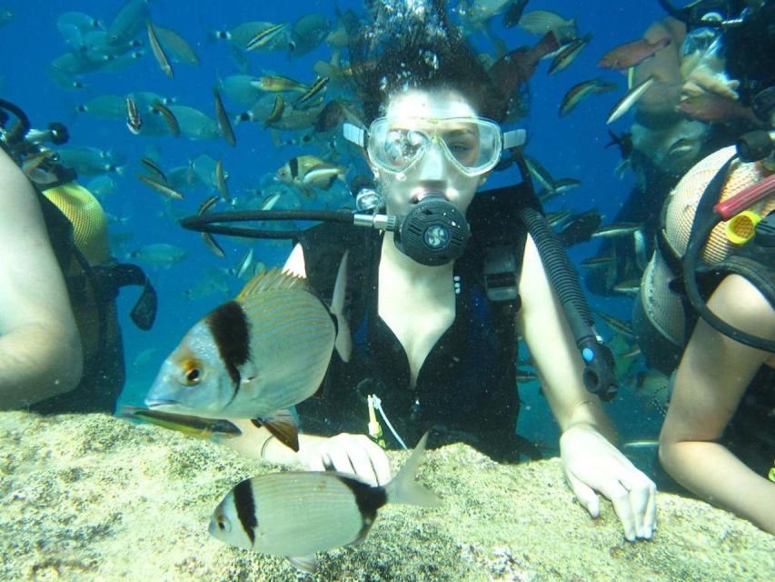 Alanya: Scuba Diving Experience with Lunch - Lunch and a break on the boat