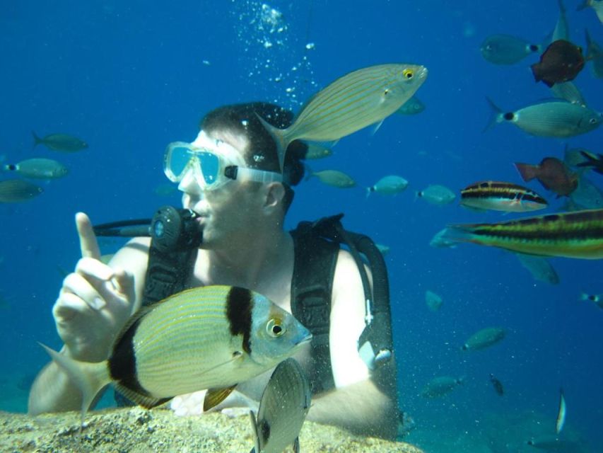 Alanya: Scuba Diving Experience with Lunch - How good is the value at $50?