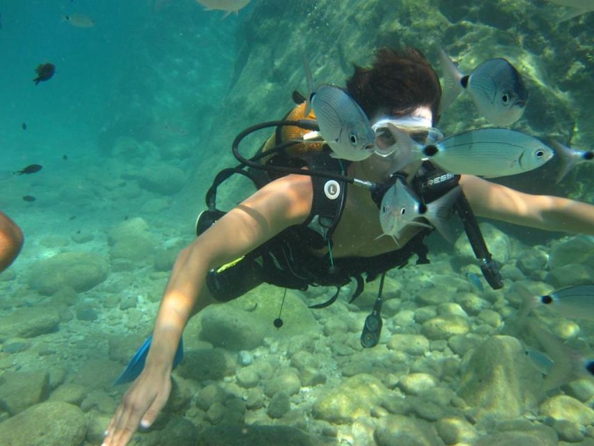 Alanya: Scuba Diving Experience with Lunch - The marina briefing sets the tone