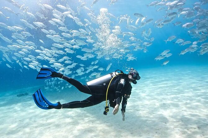Alanya : Scuba Diving for Beginners w/ Lunch and Transfer - A gentle first step into Alanya’s underwater world