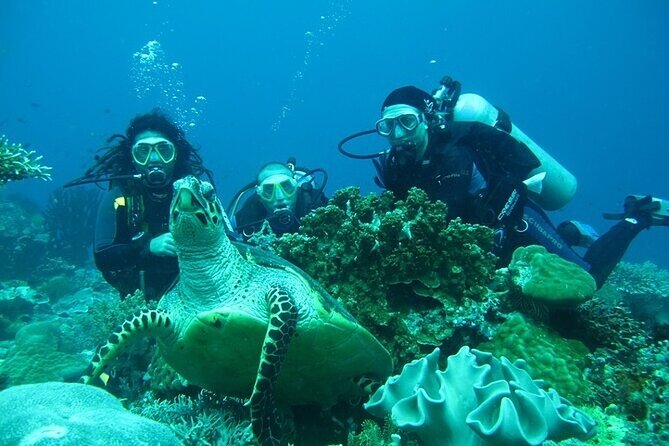 Alanya : Scuba Diving for Beginners w/ Lunch and Transfer - Your first underwater session