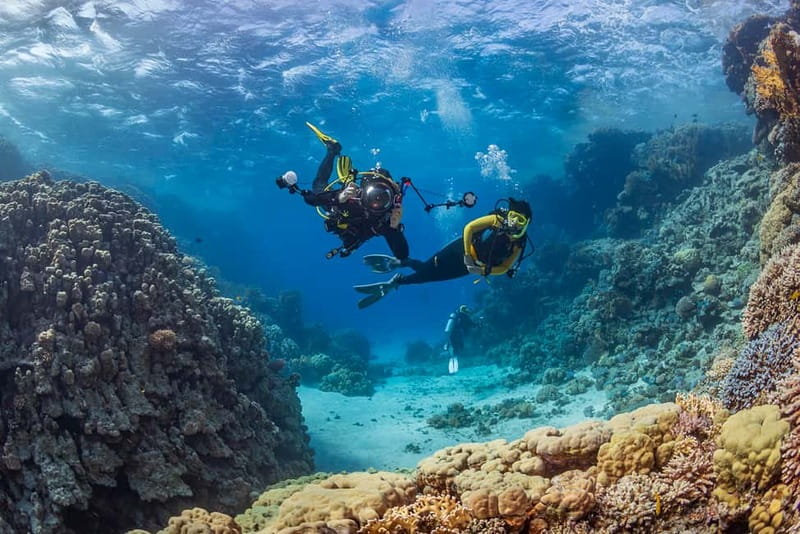Alanya: Scuba Diving Tour with Lunch and Hotel Transfers - A gentle introduction to Alanya underwater