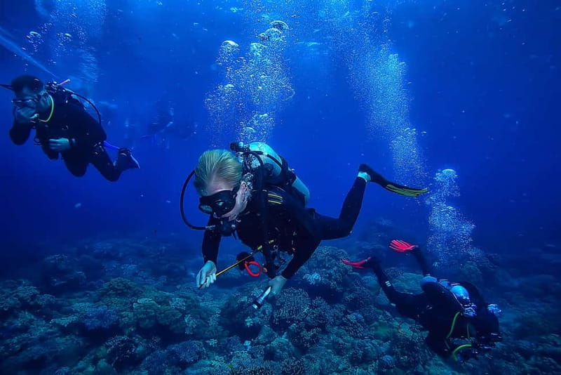 Alanya: Scuba Diving Tour with Lunch and Hotel Transfers - The morning session at 3 to 5 meters
