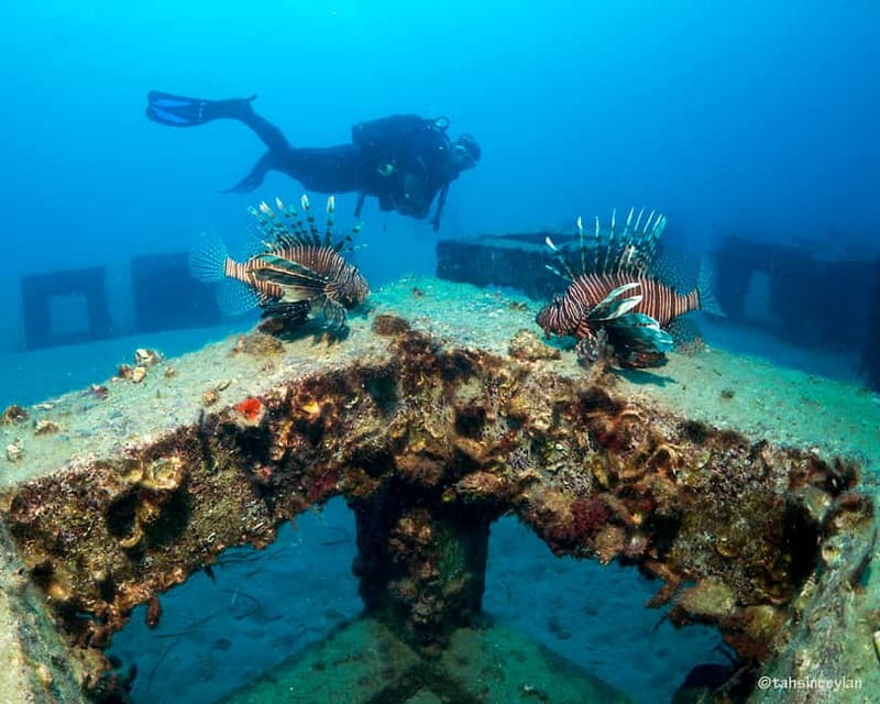Alanya: Scuba Diving Tour with Lunch and Hotel Transfers - The afternoon session at 10 to 15 meters