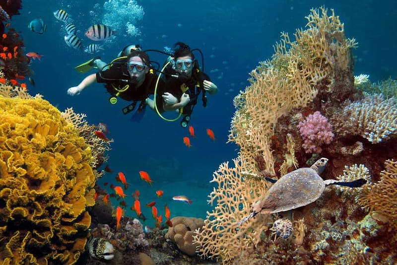 Alanya: Scuba Diving Tour with Lunch and Hotel Transfers - Reaching the caves below Alanya Castle