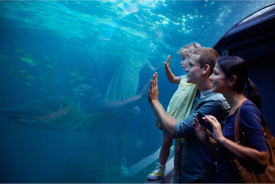 Antalya: Aquarium and Wax Museum Entry Ticket - Key points to know before you go