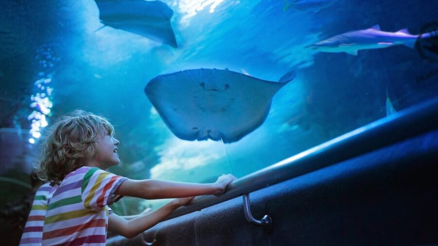 Antalya: Aquarium and Wax Museum Entry Ticket - The giant tunnel is the reason to come
