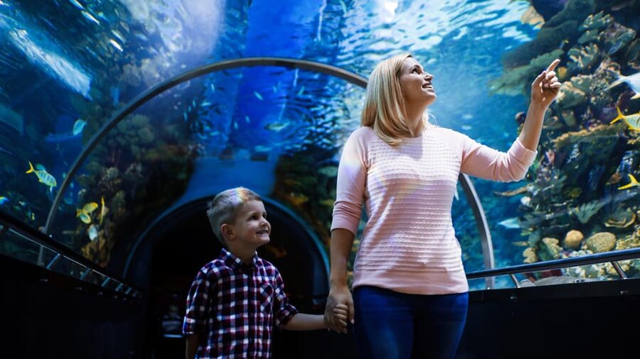 Antalya: Aquarium and Wax Museum Entry Ticket - Themed zones make the route easier to follow