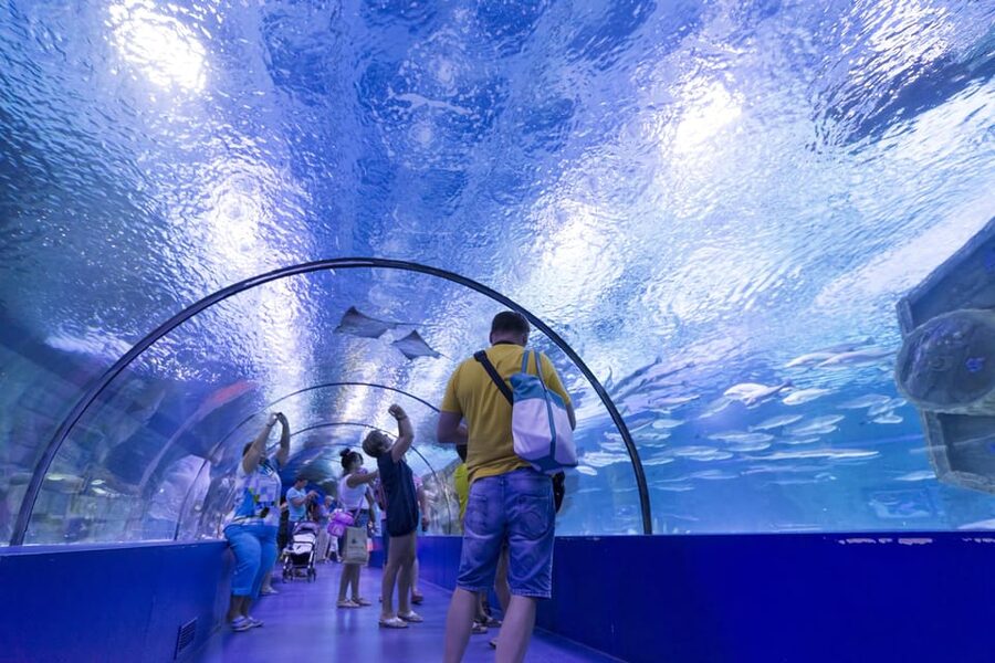 Antalya: Aquarium and Wax Museum Entry Ticket - How much time should you allow?