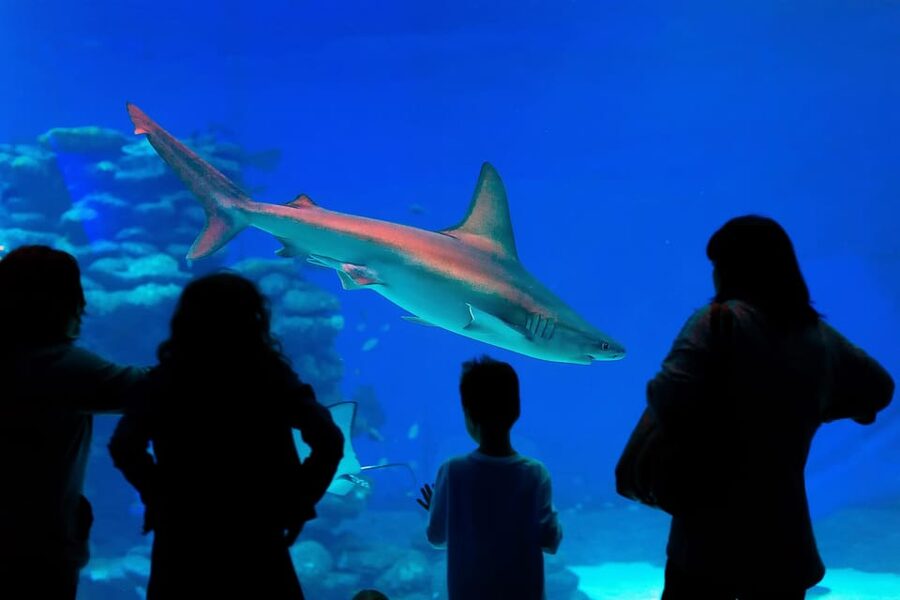 Antalya: Aquarium and Wax Museum Entry Ticket - Who will enjoy this Antalya attraction?
