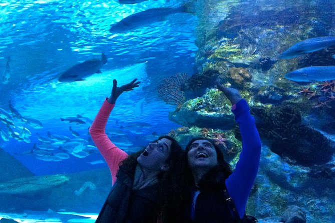 Antalya: Aquarium Ticket With Optional Transfer - Antalya Aquarium makes a handy family break