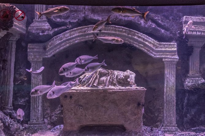 Antalya: Aquarium Ticket With Optional Transfer - Is the $48.06 price good value?