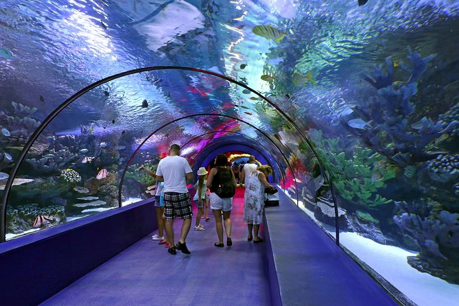 Antalya: Aquarium Ticket With Optional Transfer - Snow World offers a sharp change of temperature