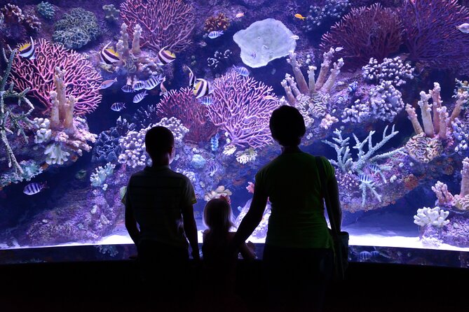 Antalya: Aquarium, Wax Museum & Combo Package Options - What you get for the $54.06 price