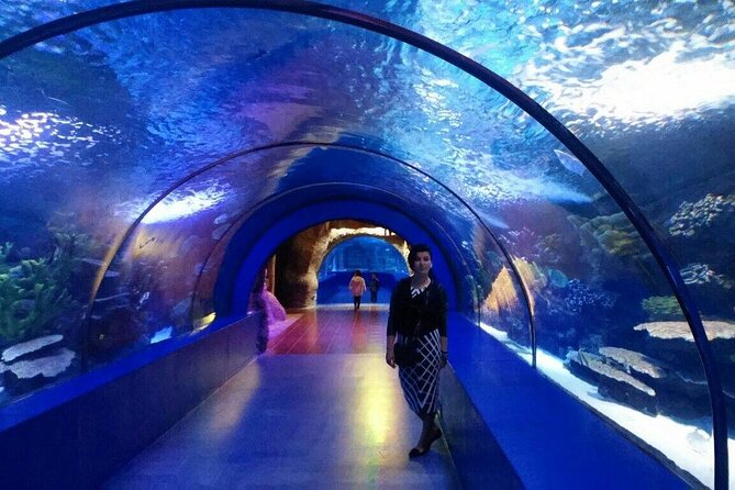 Antalya: Aquarium, Wax Museum & Combo Package Options - Timing your visit and handling the ticket line