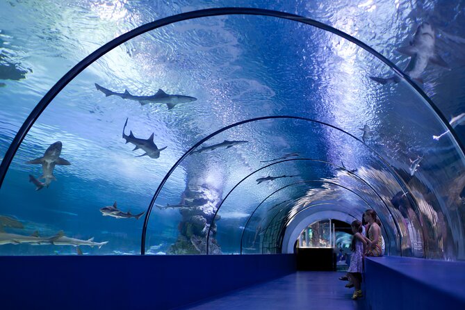 Antalya: Aquarium, Wax Museum & Combo Package Options - Who will get the most from this outing