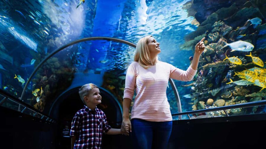 Antalya: Aquarium, Wax Museum, Snow World, Wild Park - Tropical Reef, sharks, and the giant tunnel