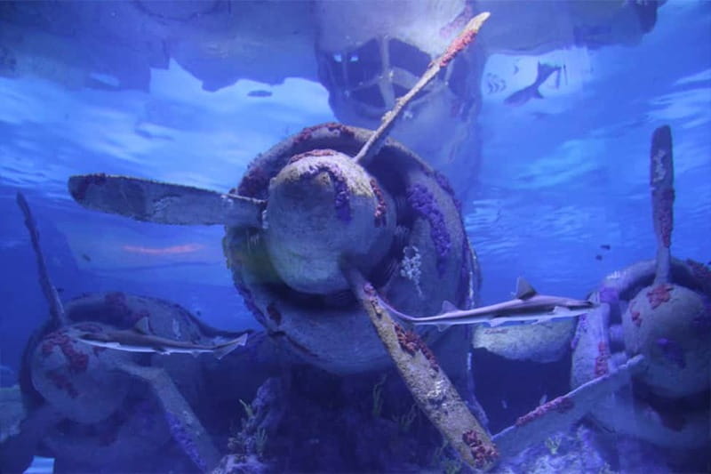 Antalya: Aquarium, Wax Museum, Snow World, Wild Park - Snow World and the Ice Museum