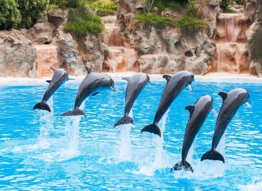 Antalya/Belek: The Land of Legends Theme Park with Transfer - How much can you really see in one visit?