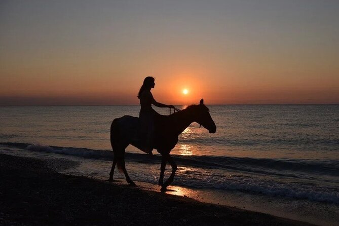 Antalya Horse Riding On Beach And Through The Forests For 2 Hours - Key points to know before you saddle up