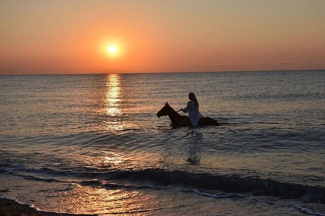 Antalya Horse Riding On Beach And Through The Forests For 2 Hours - From Antalya to Lara Beach on horseback