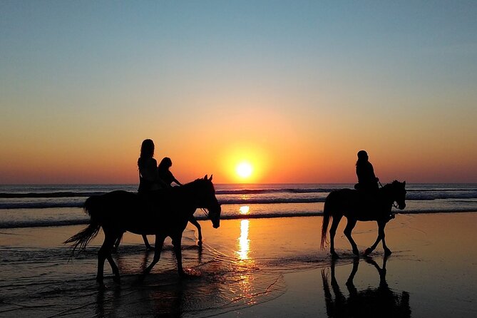 Antalya Horse Riding On Beach And Through The Forests For 2 Hours - The pine forest and the pace of the ride