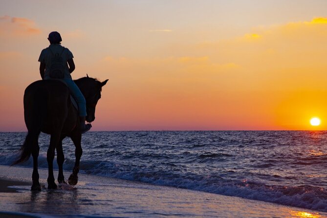 Antalya Horse Riding On Beach And Through The Forests For 2 Hours - Meeting at McDonald’s or arranging hotel pickup