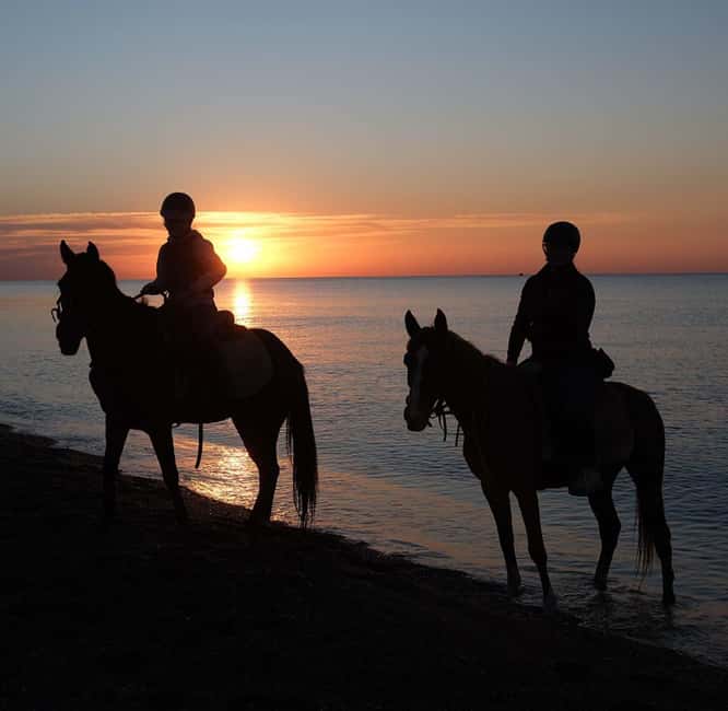 Antalya: Horseback Riding on the Beach and in the Forest - Who will enjoy this Antalya horse safari