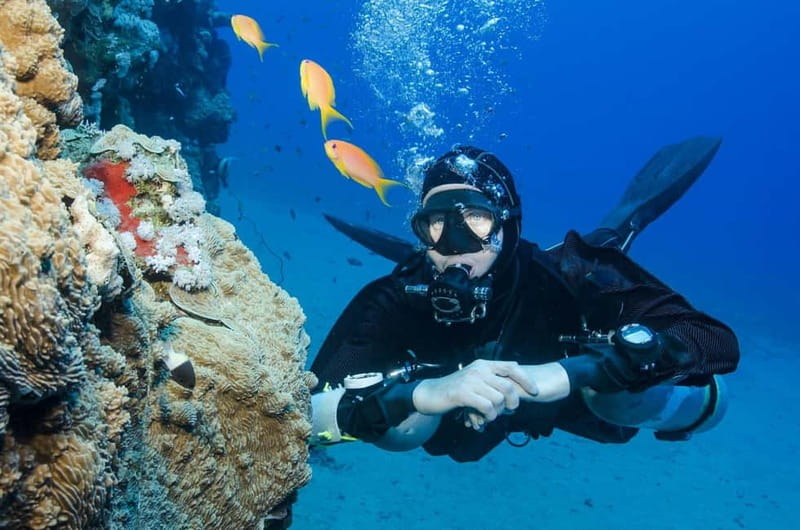 Antalya/Kemer: 2 Dives Scuba Diving Trip with Lunch - From Antalya or Kemer to the Poseidon boat