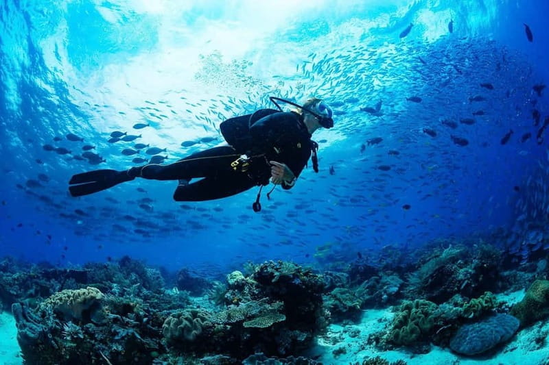 Antalya/Kemer: 2 Dives Scuba Diving Trip with Lunch - The boat ride back to Kemer