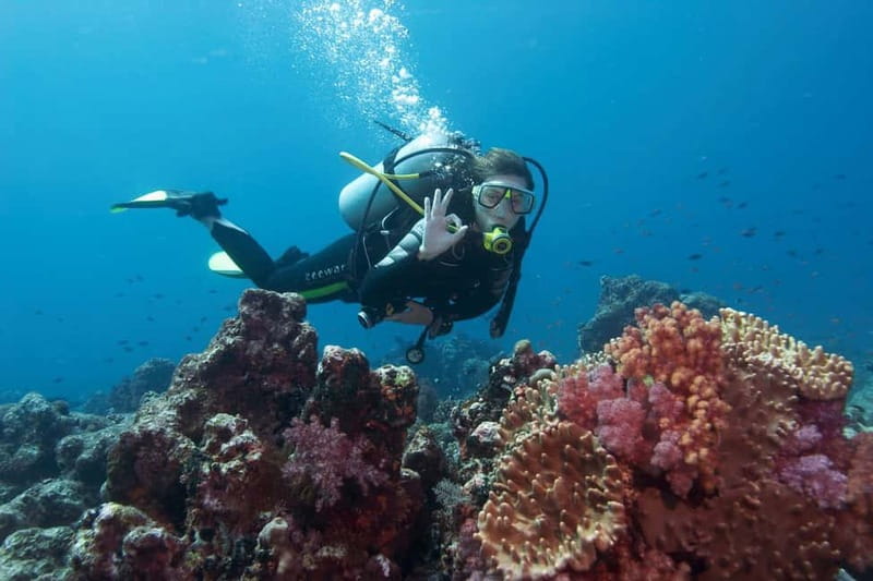 Antalya/Kemer: 2 Dives Scuba Diving Trip with Lunch - Is $37 good value?